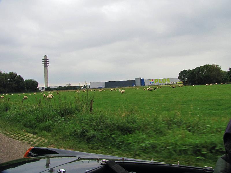 7e Ronde van Beide Limburgen (142).JPG